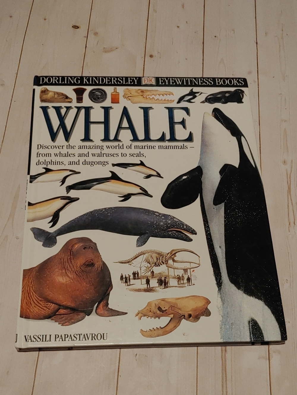 Whale DK Eyewitness Books Kids Non Fiction By Vassili Papastavrou